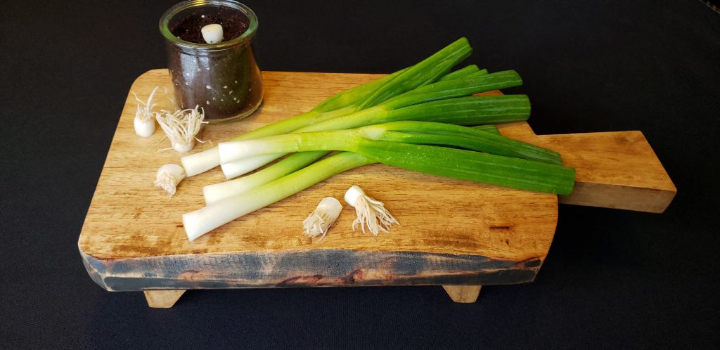 My Green Onion Victory Garden