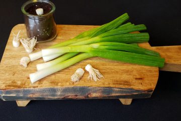 My Green Onion Victory Garden