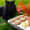 A big, black cat with a lot of attitude guards a tray of Easy Chewy Triple Ginger Cookies