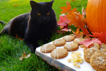 A big, black cat with a lot of attitude guards a tray of Easy Chewy Triple Ginger Cookies