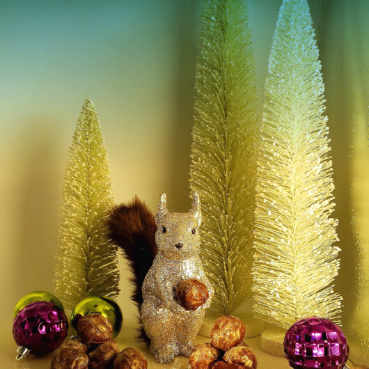 Easy 5-Ingredient Black Currant Chocolate Truffles