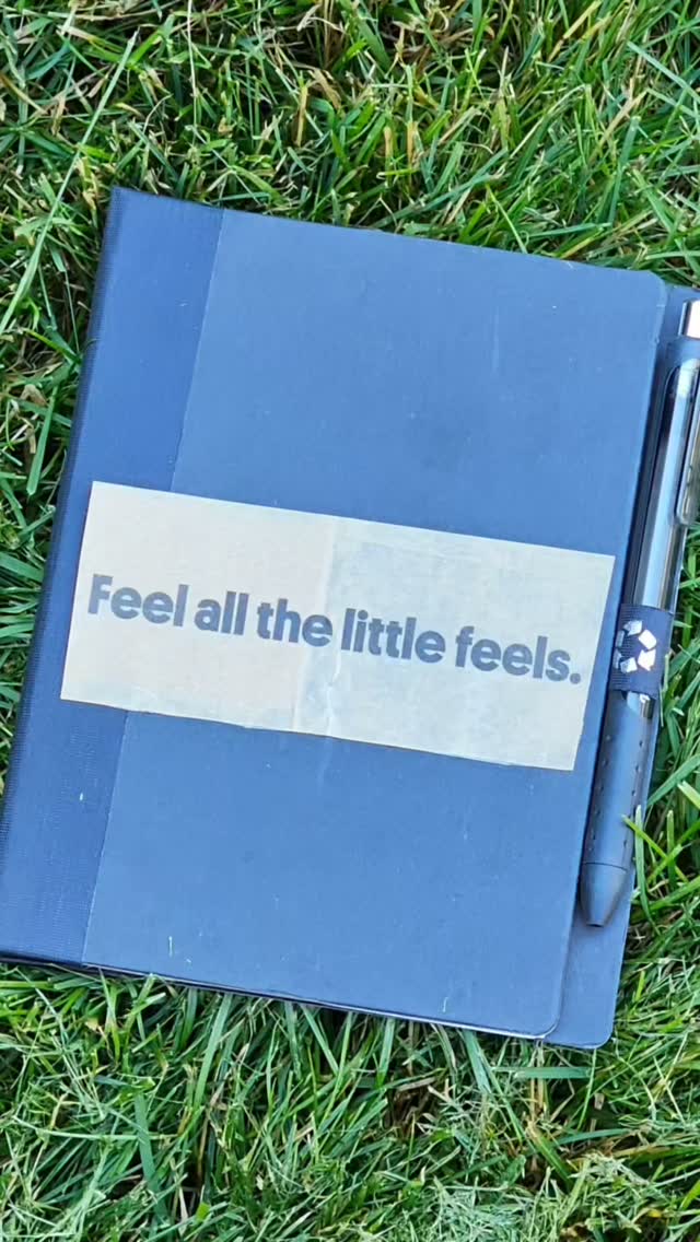 #sponsored by @drinkmirth

I'm doing a "mirthful" nature journal in my own back yard.  Sometimes finding joy is as simple as slowing down and drinking in the beauty. 

Curious? Visit DrinkMirth.com and use code MOstlyBakes25% to save 25% on your order. 

#DrinkMirth #FindYourMirth, #SimplePleasures