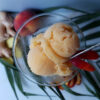 An elegant, frosty glass of this Heavenly 3-Ingredient Peach Ginger Kombucha Sorbet sits nestled among fresh peaches and sliced ginger root. There is a warm tropical vibe to the picture.