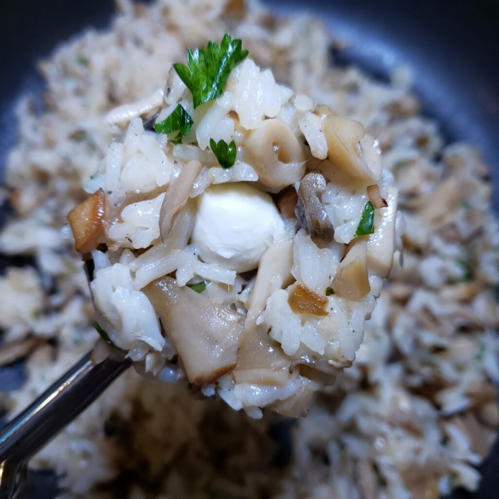 A closeup of a scoop of filling in these Easy Mushroom Arancinin in 2 Hours reveals a hidden pearl of mozzarella at the center of every rice ball.
