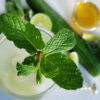 A sprig of fresh mint garnishes the rim of this Delicious 6 Ingredient Cucumber Mint Fizz Mocktail.