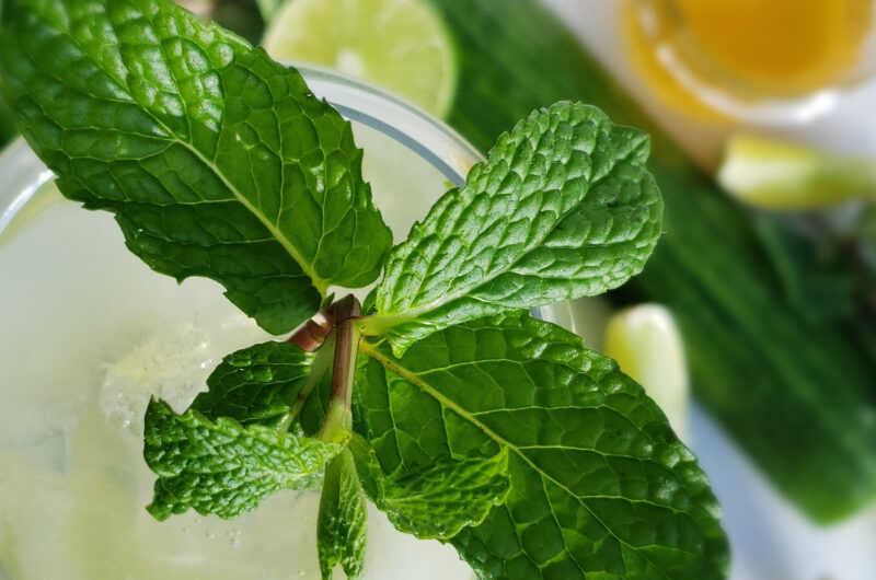 Delicious 6 Ingredient Cucumber Mint Fizz Mocktail