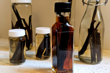 A row of freshly prepped bottles of vanilla extract are lined up as the feature image for this recipe on How to Make Homemade Pure Vanilla Extract in 5 Easy Minutes.