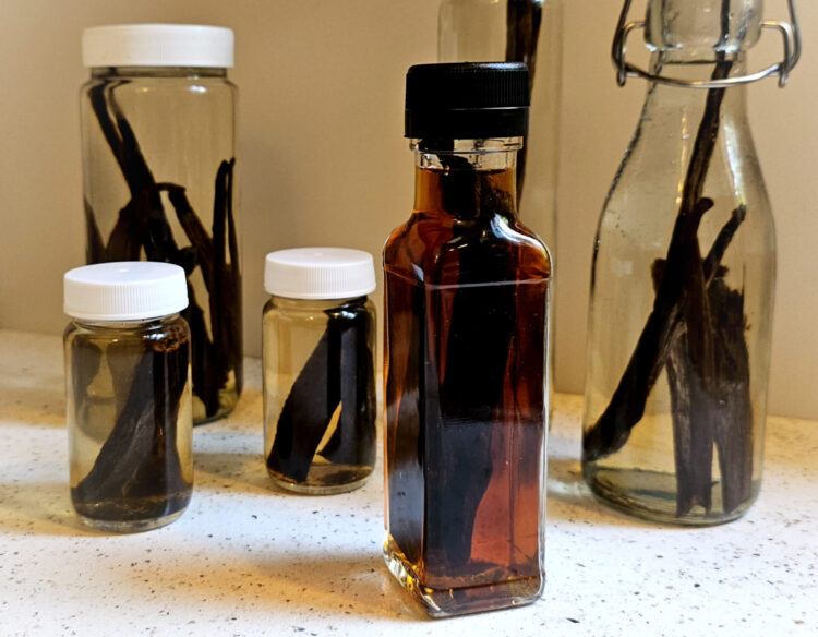 A row of freshly prepped bottles of vanilla extract are lined up as the feature image for this recipe on How to Make Homemade Pure Vanilla Extract in 5 Easy Minutes.