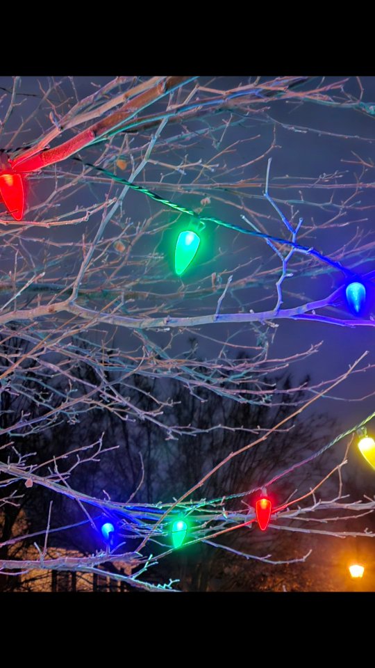 Sharing some of the beauty and my thoughts from my walk this Christmas Eve morning. 

Hope it brings some light to your day.

❤️ M

#christmas #tidingsofcomfortandjoy