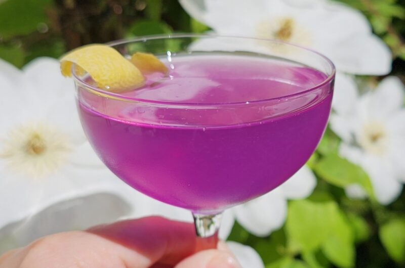 Dreamy 3-Part Butterfly Pea Flower Gin Sour