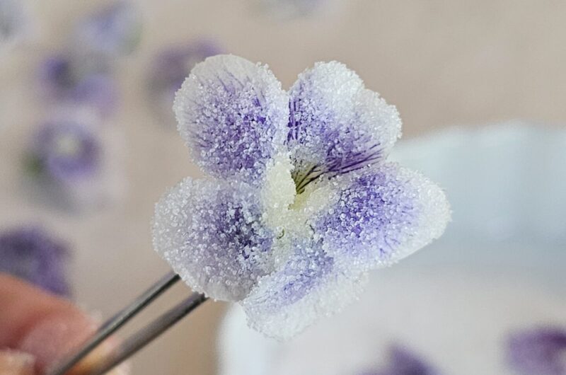 Elegantly Easy 4 Ingredient Candied Violets